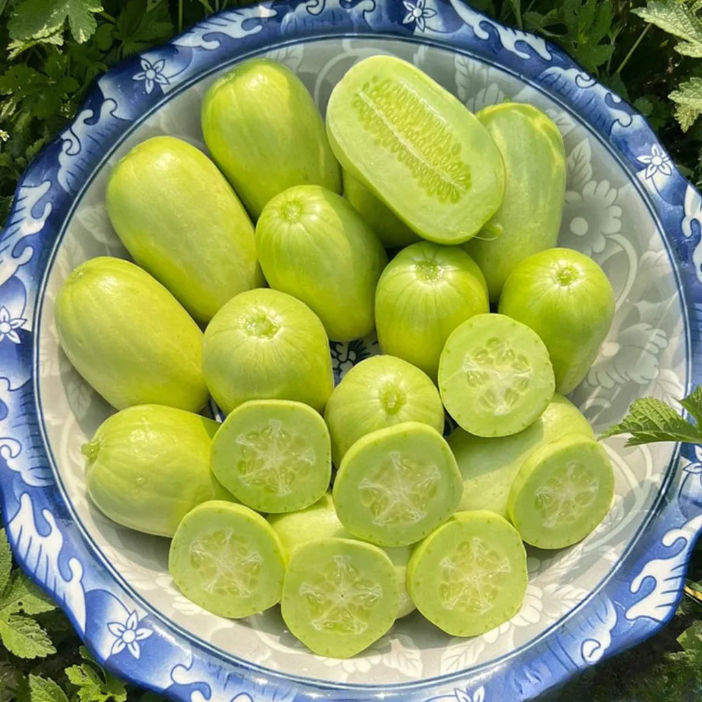 Thumb Cucumber - Jade Lady Cucumber Seeds + Plant Growth Supplement Free