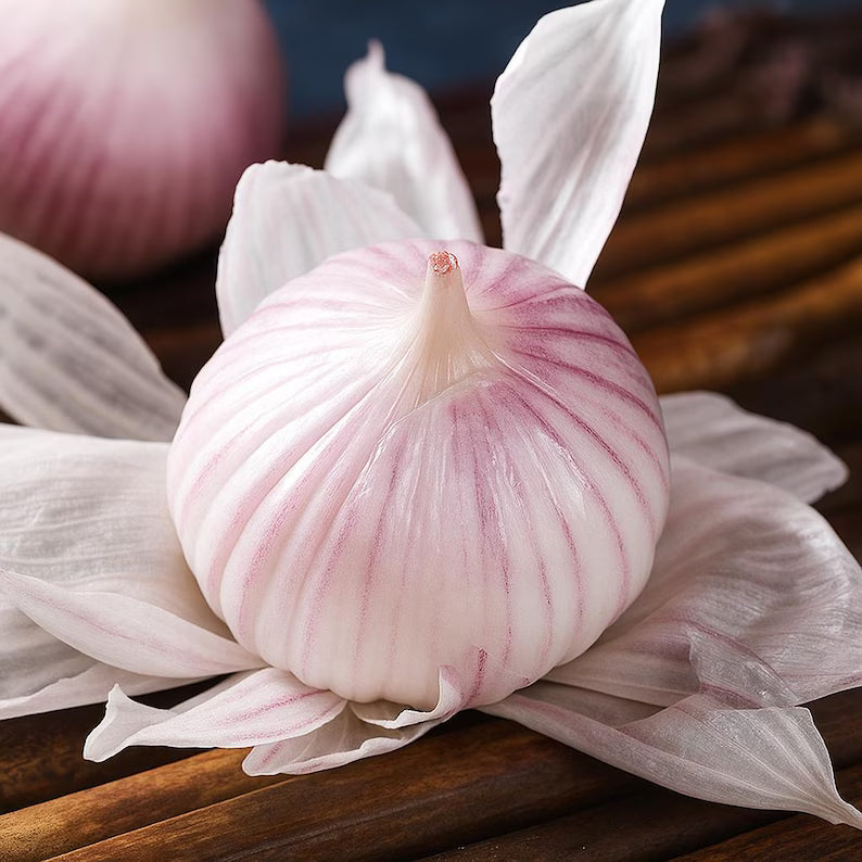 Single Clove Garlic Seeds